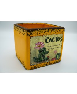 Cactus Cube 12 cm 